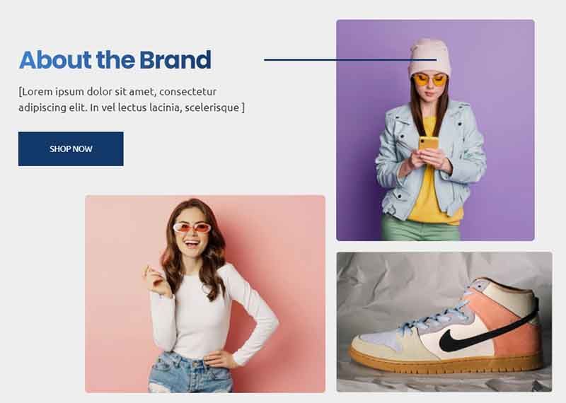 Open-Source eCommerce - Brand Info, crafted by AppSeed