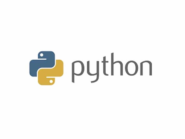 Execute code written in other programming languages in Python
